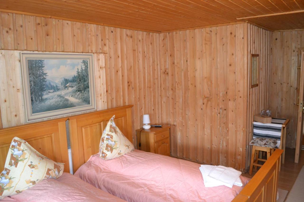 Hotel Pension Lucia Bucovina Vama  Esterno foto