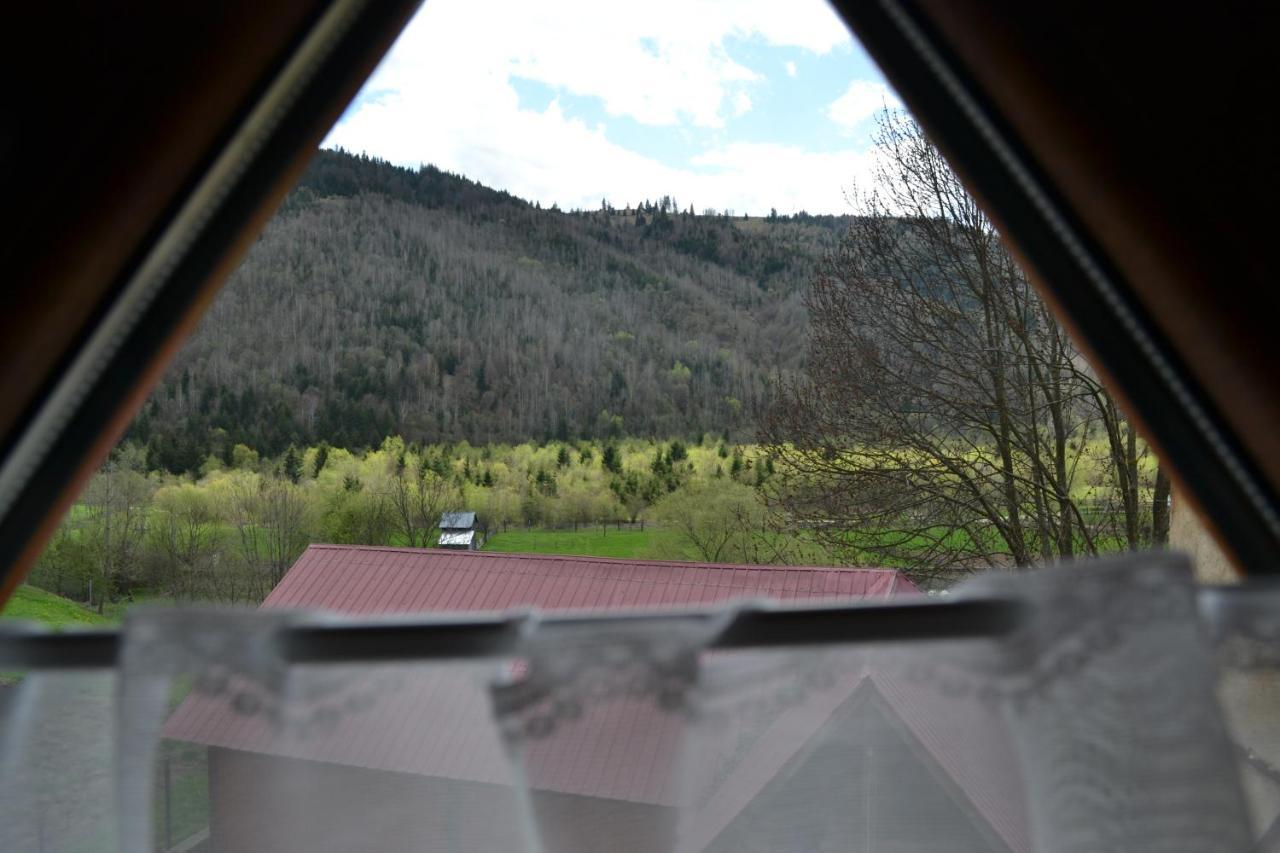 Hotel Pension Lucia Bucovina Vama  Esterno foto