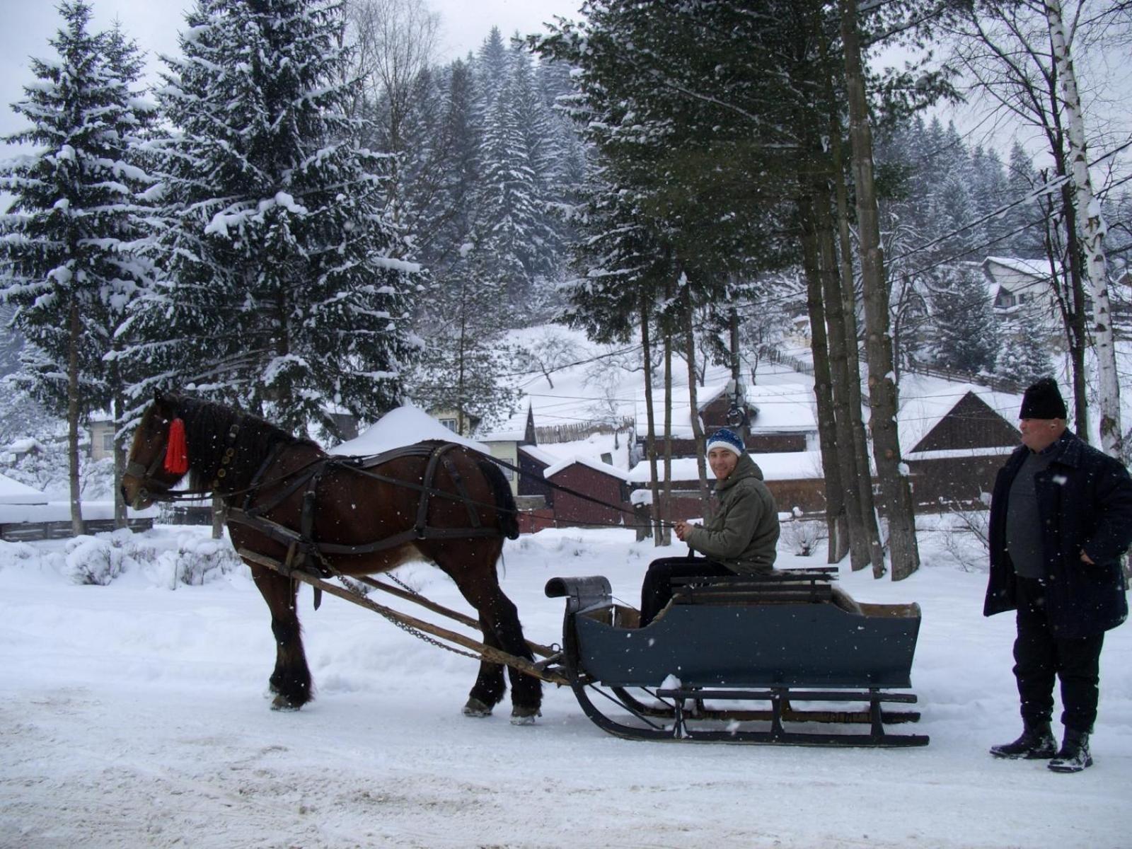 Hotel Pension Lucia Bucovina Vama  Esterno foto