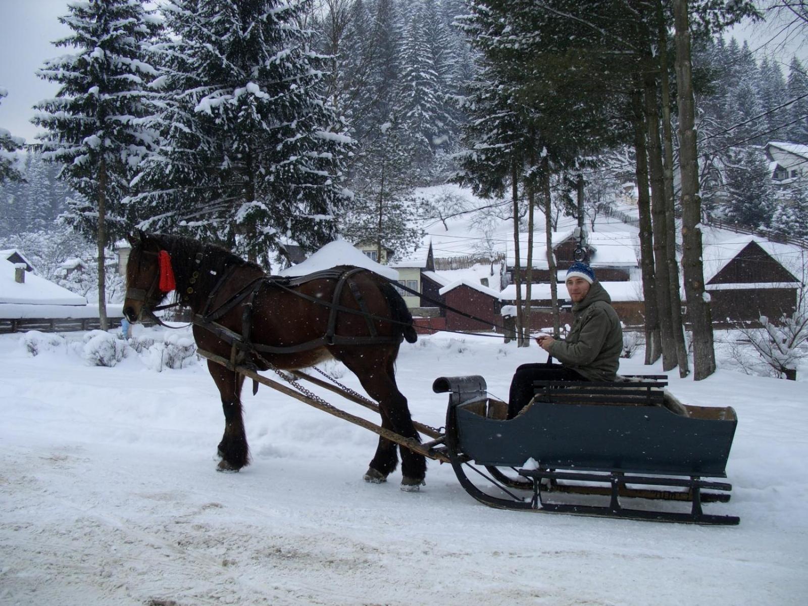 Hotel Pension Lucia Bucovina Vama  Esterno foto