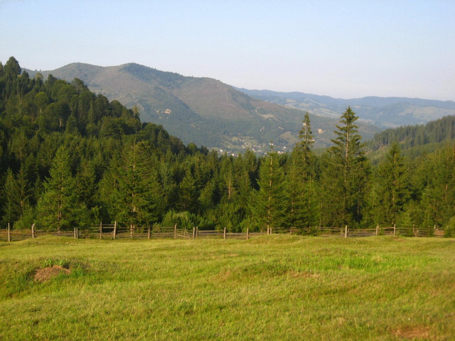 Hotel Pension Lucia Bucovina Vama  Esterno foto